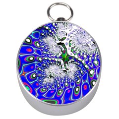 Fractal Fantasy 717c Silver Compasses