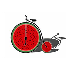 Watermelon Bicycle  Double Sided Flano Blanket (mini)  by Valentinaart