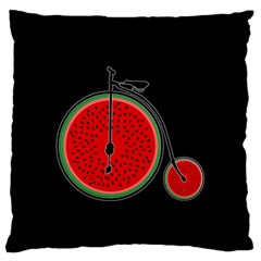 Watermelon Bicycle  Standard Flano Cushion Case (one Side) by Valentinaart