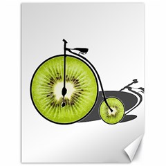 Kiwi Bicycle  Canvas 18  X 24   by Valentinaart