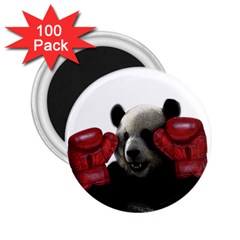 Boxing Panda  2 25  Magnets (100 Pack)  by Valentinaart