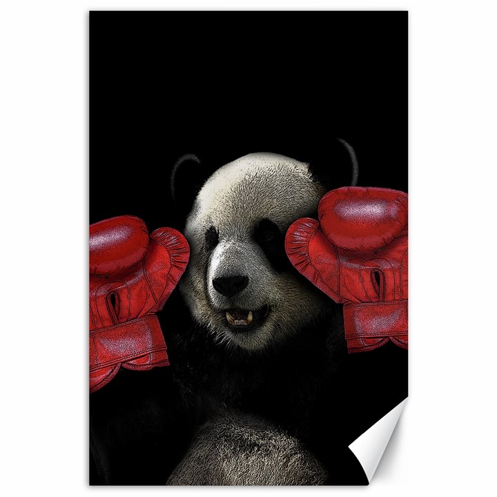 Boxing panda  Canvas 24  x 36 