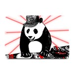 Deejay panda Plate Mats 18 x12  Plate Mat