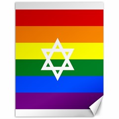 Gay Pride Israel Flag Canvas 12  X 16   by Valentinaart