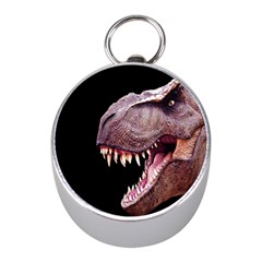 Dinosaurs T-rex Mini Silver Compasses by Valentinaart