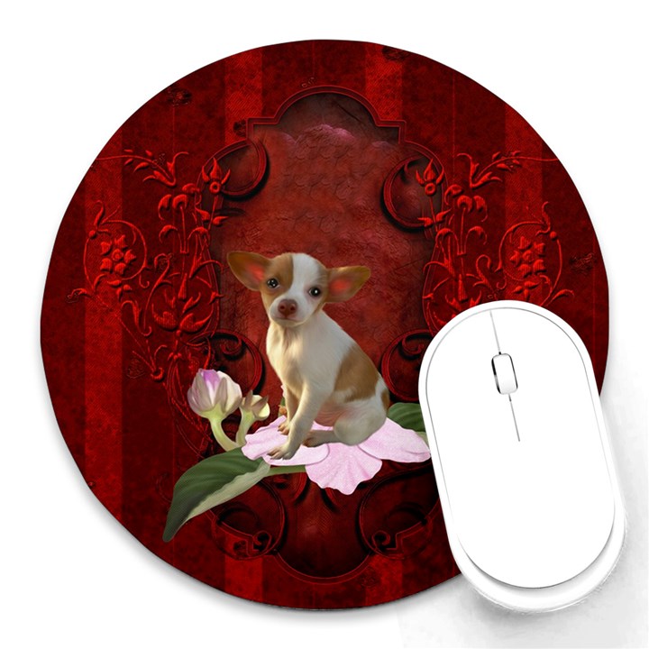 Sweet Little Chihuahua Round Mousepads