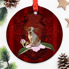 Sweet Little Chihuahua Ornament (round) by FantasyWorld7