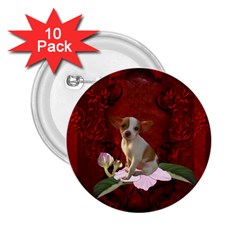 Sweet Little Chihuahua 2 25  Buttons (10 Pack)  by FantasyWorld7