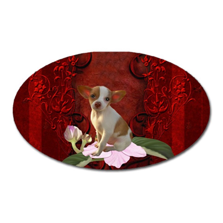 Sweet Little Chihuahua Oval Magnet