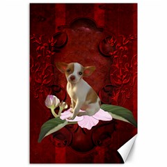 Sweet Little Chihuahua Canvas 24  X 36  by FantasyWorld7