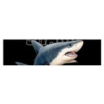 The Shark Movie Satin Scarf (Oblong) Front