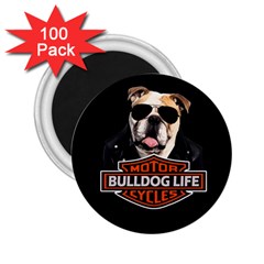 Bulldog biker 2.25  Magnets (100 pack) 