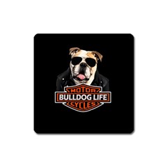 Bulldog biker Square Magnet