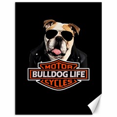 Bulldog biker Canvas 12  x 16  