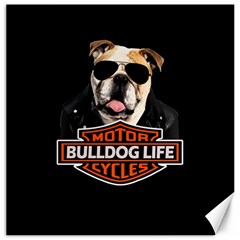 Bulldog biker Canvas 20  x 20  