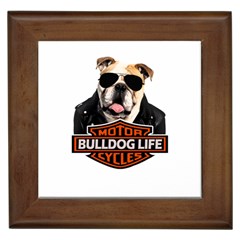 Bulldog biker Framed Tiles