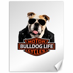 Bulldog biker Canvas 12  x 16  