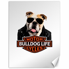 Bulldog biker Canvas 18  x 24  