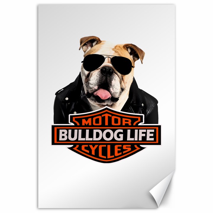 Bulldog biker Canvas 24  x 36 