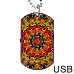 Fractal Mandala Abstract Pattern Dog Tag Usb Flash (two Sides)