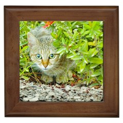 Hidden Domestic Cat With Alert Expression Framed Tiles by dflcprints