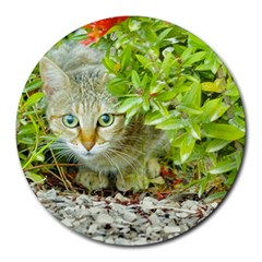 Hidden Domestic Cat With Alert Expression Round Mousepads by dflcprints