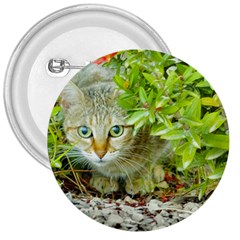 Hidden Domestic Cat With Alert Expression 3  Buttons by dflcprints