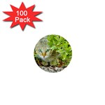 Hidden Domestic Cat With Alert Expression 1  Mini Buttons (100 pack)  Front