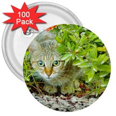 Hidden Domestic Cat With Alert Expression 3  Buttons (100 Pack)  by dflcprints