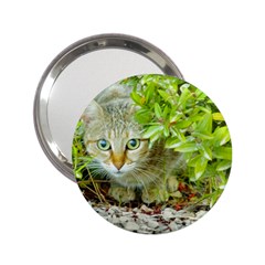 Hidden Domestic Cat With Alert Expression 2 25  Handbag Mirrors by dflcprints