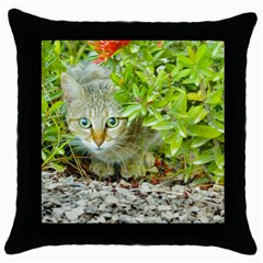 Hidden Domestic Cat With Alert Expression Throw Pillow Case (black) by dflcprints