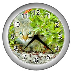 Hidden Domestic Cat With Alert Expression Wall Clocks (silver)  by dflcprints