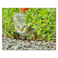 Hidden Domestic Cat With Alert Expression Rectangular Jigsaw Puzzl by dflcprints