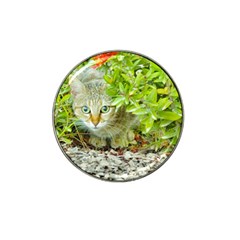 Hidden Domestic Cat With Alert Expression Hat Clip Ball Marker (4 Pack) by dflcprints