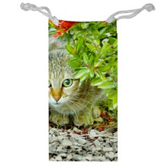 Hidden Domestic Cat With Alert Expression Jewelry Bag by dflcprints