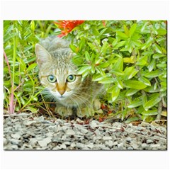 Hidden Domestic Cat With Alert Expression Mini Button Earrings