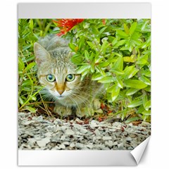 Hidden Domestic Cat With Alert Expression Canvas 16  X 20   by dflcprints