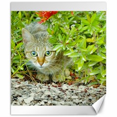 Hidden Domestic Cat With Alert Expression Canvas 20  X 24   by dflcprints