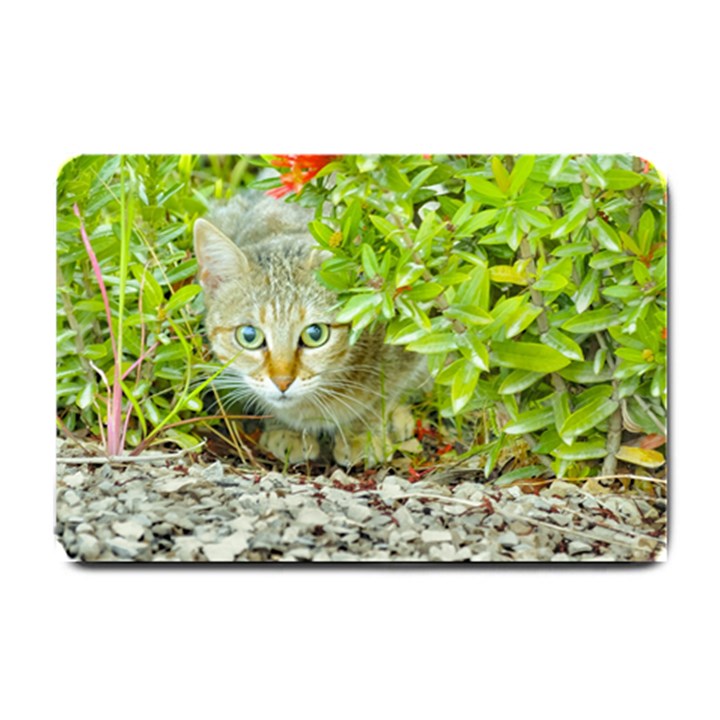 Hidden Domestic Cat With Alert Expression Small Doormat 