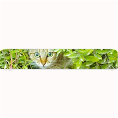 Hidden Domestic Cat With Alert Expression Small Bar Mats by dflcprints