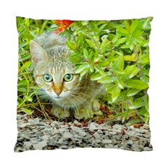 Hidden Domestic Cat With Alert Expression Standard Cushion Case (two Sides) by dflcprints