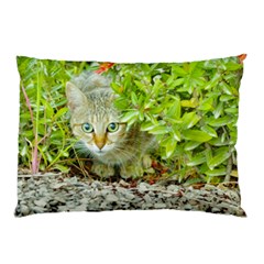 Hidden Domestic Cat With Alert Expression Pillow Case by dflcprints