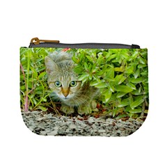 Hidden Domestic Cat With Alert Expression Mini Coin Purses by dflcprints