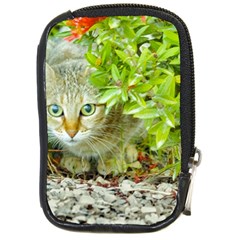 Hidden Domestic Cat With Alert Expression Compact Camera Cases by dflcprints