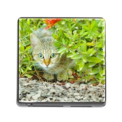 Hidden Domestic Cat With Alert Expression Memory Card Reader (square) by dflcprints