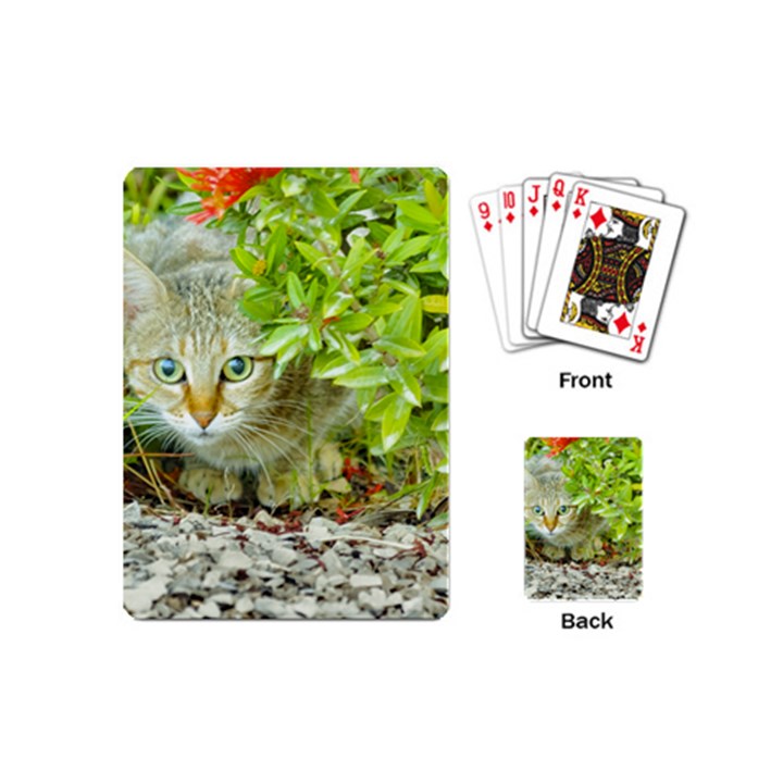 Hidden Domestic Cat With Alert Expression Playing Cards (Mini) 