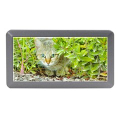 Hidden Domestic Cat With Alert Expression Memory Card Reader (mini)