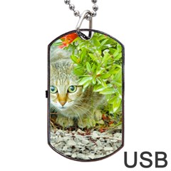 Hidden Domestic Cat With Alert Expression Dog Tag Usb Flash (two Sides) by dflcprints