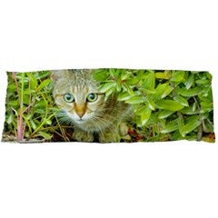 Hidden Domestic Cat With Alert Expression Body Pillow Case Dakimakura (two Sides) by dflcprints