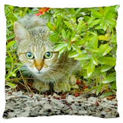 Hidden Domestic Cat With Alert Expression Large Cushion Case (two Sides) by dflcprints